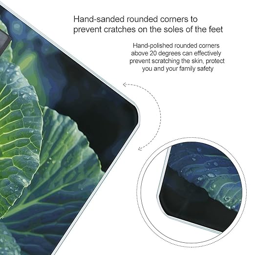 Bright Cabbage Bathroom Scale for Body Weight Bathroom Weighing Scale with Backlit LCD Display Highly Accurate Measures Weight Up to 180kg