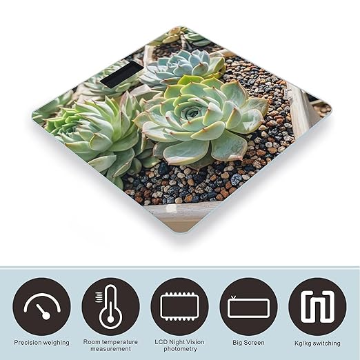 Smiling SucculentsSmiling Succulents Scale for Body Weight Highly Accurate Digital Bathroom Body Scale Digital Bathroom Scales for People Anti-Slip Large LCD Display Smart Scales