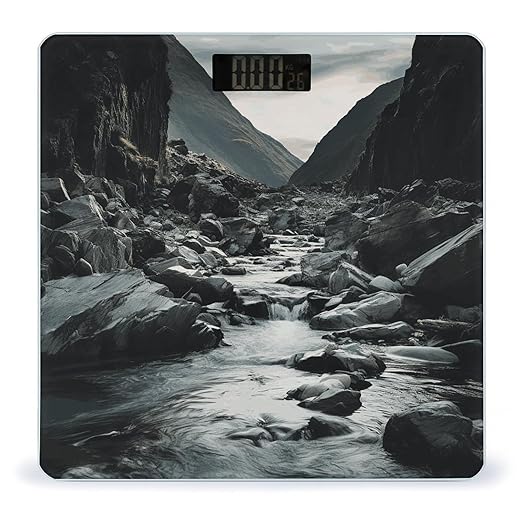 River and Gray Rocks Bathroom Scale Ultra-Bright Liquid Crystal Screen Weight Scale Accurate Bathroom Body Scales for Body Weight Bathroom Pet Home Bedroom Gift-Giving