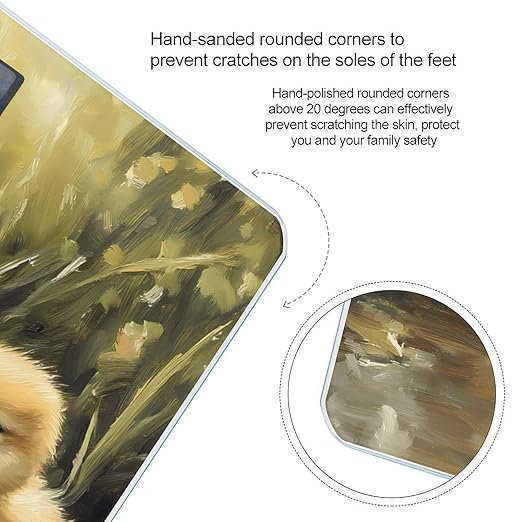 Fluffy Ducklings Ducks Digital Bathroom Scale for Body Weight Lighted LCD Display Round Corner