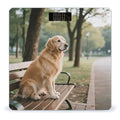 Dog Resting on Bench Weight Scale Cute Bathroom Scale for Body Highly Accurate Digital Weighing Machine for People Compact LCD Display Scales with Sturdy Toughened Glass Scales
