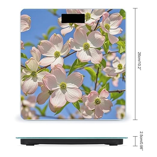 Spring Dogwood Blossoms Weight Scale Highly Accurate Digital Weighing Scale with Large LCD Display Smart Bathroom Scales for Home Bedrooms and Gift Giving