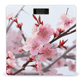 Plum Blossom Scale for Body Weight Anti-Slip Digital Bathroom Scale Sturdy Toughened Glass Weighing Scales High Precision Safe Rounded Corners Smart Scales