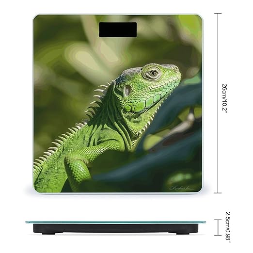 Green Lizard Weight ScaleClear LED Display Bathroom Digital Weighing ScaleTempered Glass Digital Bathroom Scale for Body Weight Capacity Up to 400 Lbs