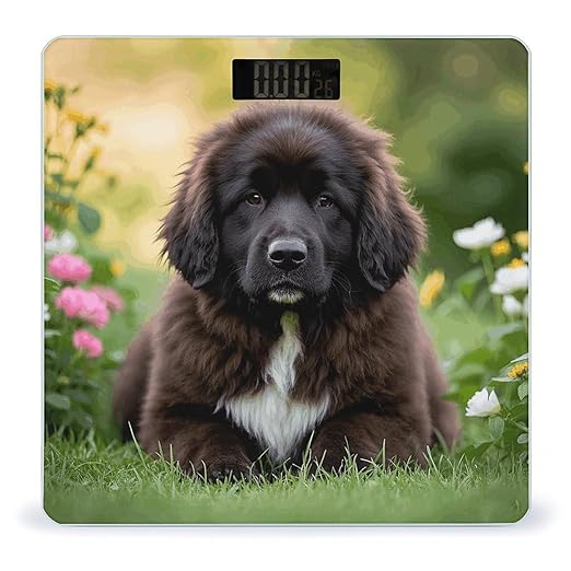Cute Pet Newfoundland Dog Bathroom Scale Large LCD Backlight Display Digital Scale Rounded Corners Body Scales Automatic Power On/Off Bathroom Scales for Home Bedrooms