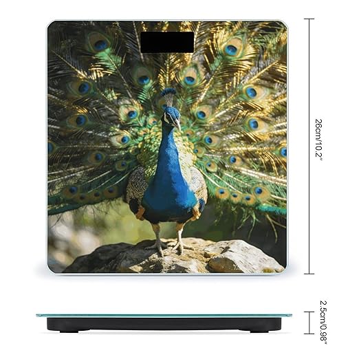 Beautiful Peacock with Colorful Feathers Weight ScaleClear LED Display Bathroom Digital Weighing ScaleTempered Glass Digital Bathroom Scale for Body Weight Capacity Up to 400 Lbs