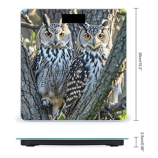 Wild Owl Birds Scale for Body Weight Smart Scales Digital Bathroom Scale High Precision Weighing Scales with Large Display Weighing Machine for People