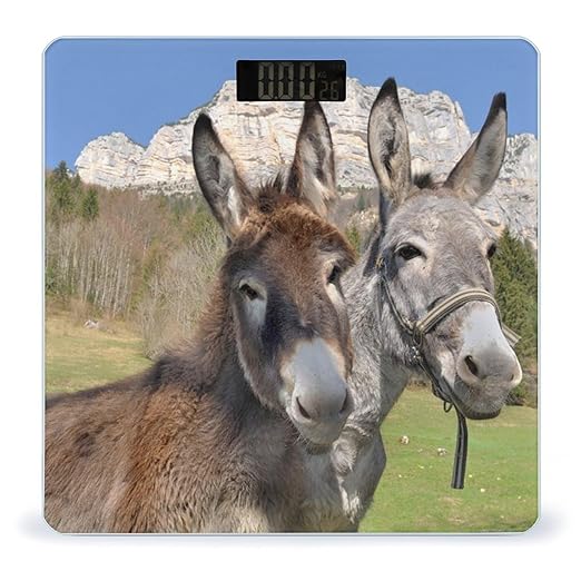 Funny Donkeys Scale for Body Weight Anti-Slip Sturdy Tempered Glass Weighing Machine Highly Digital Accurate Bright LCD Bathroom Scale for Household Gift