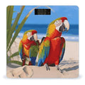 Beach Parrots Bathroom ScaleHighly Accurate Digital Weighing Machine for People Bright LED Display Weight Scale for The Aldult Home Use