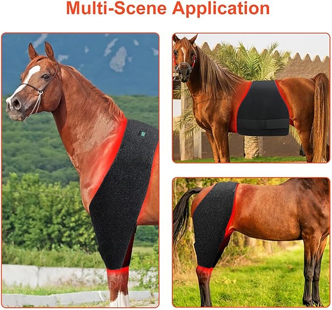 Red Light Therapy for Horses Horse Back and Abdomen Injuries Recovery Fracture Healing Pain Relief Infrared Light Device for Horse Full Body