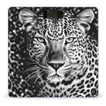 Black and White Leopard Face Bathroom Scale for Body Weight LCD Display Digital Bathroom Scale Tempered Glass Bathroom Weight Scales Fashion Smart Scales for Home Bedroom 400 Lb