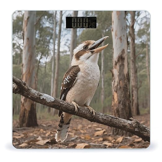 Gray Bird Bathroom Scale for Body Weight LCD Display Digital Bathroom Scale Tempered Glass Bathroom Weight Scales Fashion Smart Scales for Home Bedroom 400 Lb