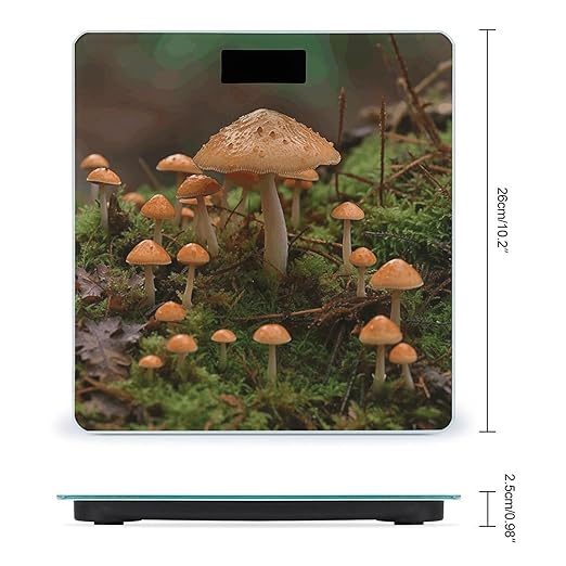 Wild Mushroom Digital Bathroom Scale for Body Weight Weighing Scale with Backlit LCD Display High Precision Measurements &amp Measures Weight Up to 180kg