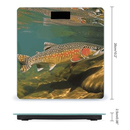 Digital Bathroom Scale for Body Weight Scale with Bright LCD Display High Accuracy Step-On Technology Auto On/Off Brook Trout Fly Fishing Digital Scales 400 Lbs /180kg