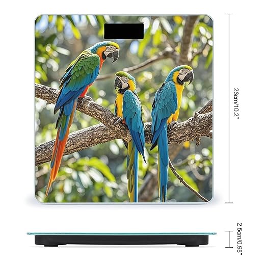 Colorful Parrots On Tree Scale for Body Weight Digital Bathroom Scale Toughened Glass High Precision Scales for Body Weight with Large LCD Backlight Display Weight Scales