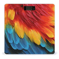 Fantastic Parrot Feather Bathroom Scale Automatic Power On/Off Body Scales LCD Backlight Display Square Digital Scale Rounded Corners Bathroom Scales for Home Bedrooms