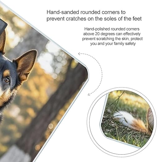Dogs Sitting Together Scale for Body Weight Highly Accurate Digital Bathroom Body Scale Digital Bathroom Scales for People Anti-Slip Large LCD Display Smart Scales