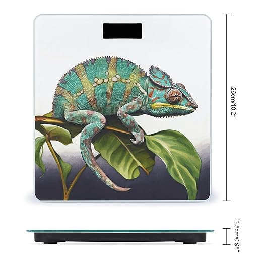 Chameleon Bathroom Scale Automatic Power On/Off Body Scales LCD Backlight Display Square Digital Scale Rounded Corners Bathroom Scales for Home Bedrooms
