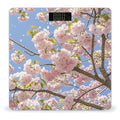 Cherry Blossom Scale for Body Weight Highly Accurate Digital Bathroom Body Scale Digital Bathroom Scales for People Anti-Slip Large LCD Display Smart Scales