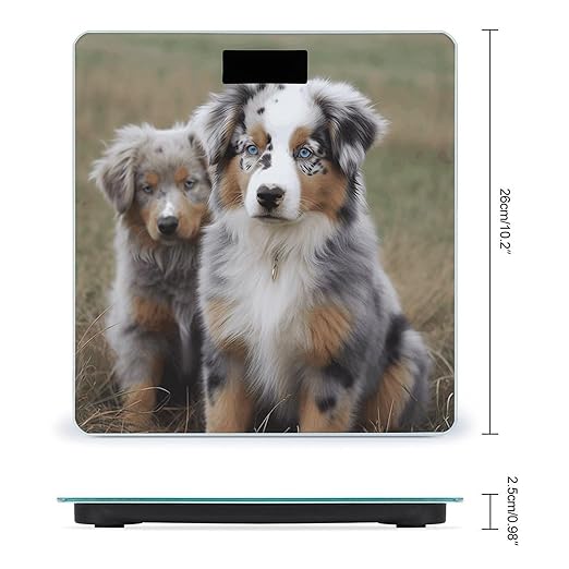 Australian Shepherd Bathroom Scale Automatic Power On/Off Body Scales LCD Backlight Display Square Digital Scale Rounded Corners Bathroom Scales for Home Bedrooms