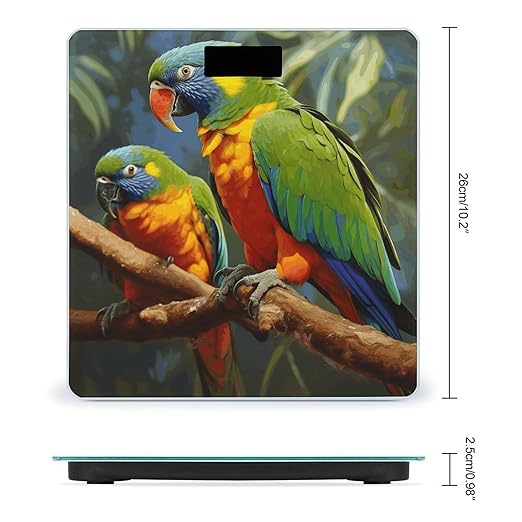 Bird Parrot Painting Scale for Body Weight Safe Rounded Corners Tempered Glass Digital Bathroom Scale LED Display 400lb Capacity Weight Scales with High Precision Sensors