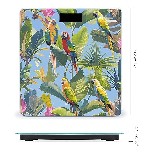 Tropical Plants and Parrots Bathroom Scale for Body Weight with High Precision Large LCD Backlight Display Digital Weighing Scale with BMI Capacity Up to 180kg