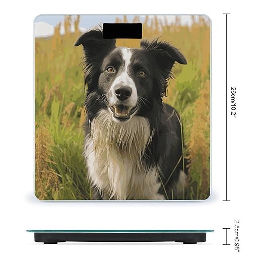 Mohado Border Collie Dog Bathroom Scale for Body Weight Bathroom Weighing Scale with Backlit LCD Display Highly Accurate Measures Weight Up to 180kg