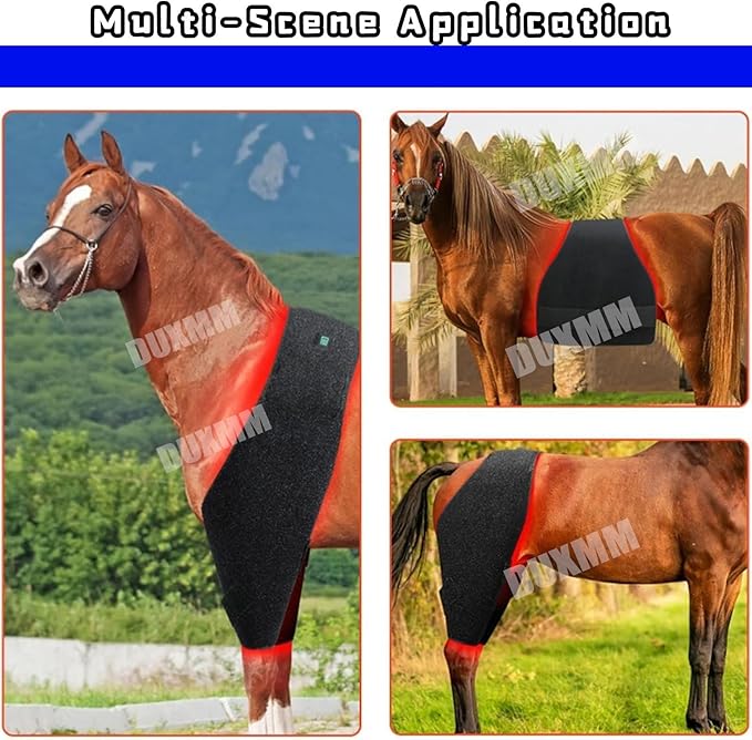 Red Light Therapy DeviceHorse Red Light Therapy EquipmentHorses Red Light Therapy BeltWearable Red Light Therapy Beltsfor Horse Muscle Recovery