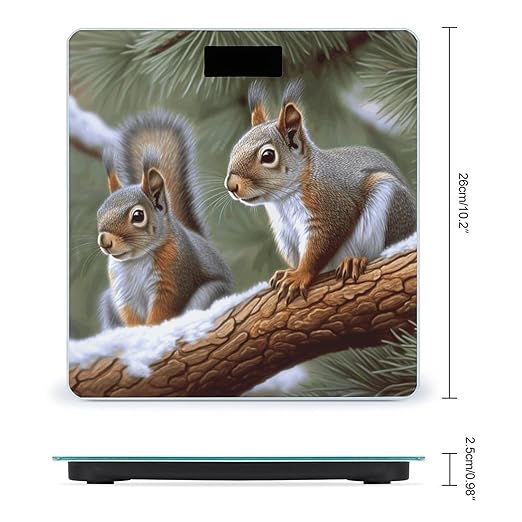 Little Squirrel Scale for Body Weight High Precision Digital Weight Scales with LCD Display Anti-Slip Sturdy Slim Tempered Glass Bathroom Scale for Home Use
