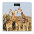 Giraffe Chicken Weight Scale Large Digital Bathroom Scales with Bright LED Display Non Slip Digital Scale and Step On Fashion Weighing Machine for Body