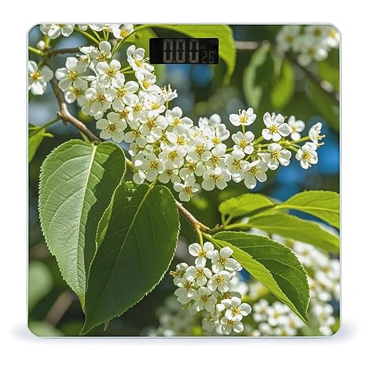 Bird Cherry in Bloom Bathroom Scale for Body Weight Bathroom Weighing Scales with Back Lit LED Display Sturdy Tempered Glass Body Weight Bathroom Scale 400lb Weighing