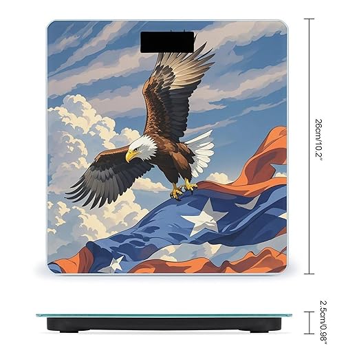Aircraft Plane at Sunset Bathroom Scale Digital Weight Scale Precision 400 Lbs Weighing Scales Large with LCD Backlight Display BMI Measures