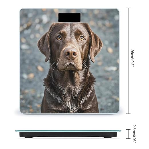 Brown Labrador Retriever Scale for Body Weight Accurate Digital Bathroom Scale Toughened Glass High Precision Scales Smart Weight Scales with Large LCD Backlight Display Weighing Machine