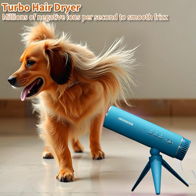 Hair Dryer Ionic Blow Dryer with Diffuser 300 Millions Negative Ionic Hair Diffuser for Fast DryingHigh-Speed Quiet Thermo-Control Travel Hair dryers for Women Home Salon (Blue)