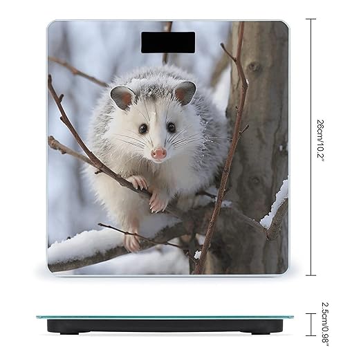 Opossum in Snow Bathroom Scale Rounded Smart Scale for Body Weight Automatic Power On/Off Weight Scales Accurate Bathroom Digital Scales for Pet Home Bedroom Kitchen