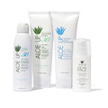 Aloe Up White Collection Sunscreen Spray SPF 50 White Collection Sunscreen Lotion SPF 30 After Sun Light Moisturizer and SPF 25 For the Face Daily Moisturizer Sunscreen - Suncare Bundle - 4 Items