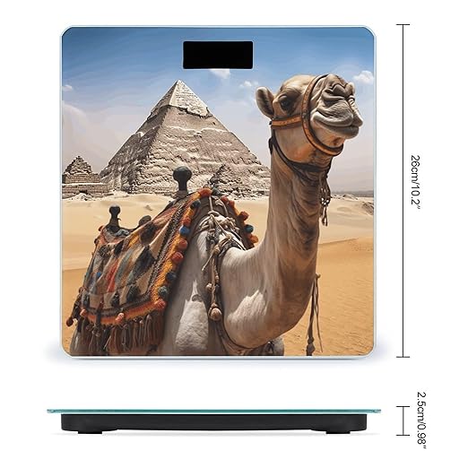 Pyramid Camel Bathroom Scale Large LCD Backlight Display Digital Scale Rounded Corners Body Scales Automatic Power On/Off Bathroom Scales for Home Bedrooms