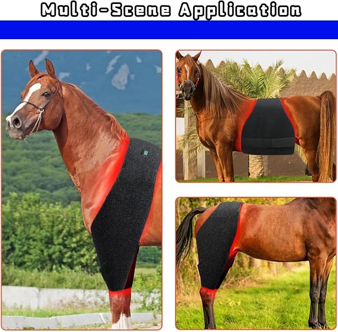 Red Light Therapy for Horse Full BodyRed Light Therapy BeltInternal Battery USB Rechargeable Red Lightfor Body Back Shoulder Waist Muscle Pain Relief