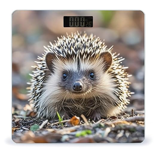 Hedgehog Scale for Body Weight Digital Bathroom Scale Toughened Glass High Precision Scales for Body Weight with Large LCD Backlight Display Weight Scales