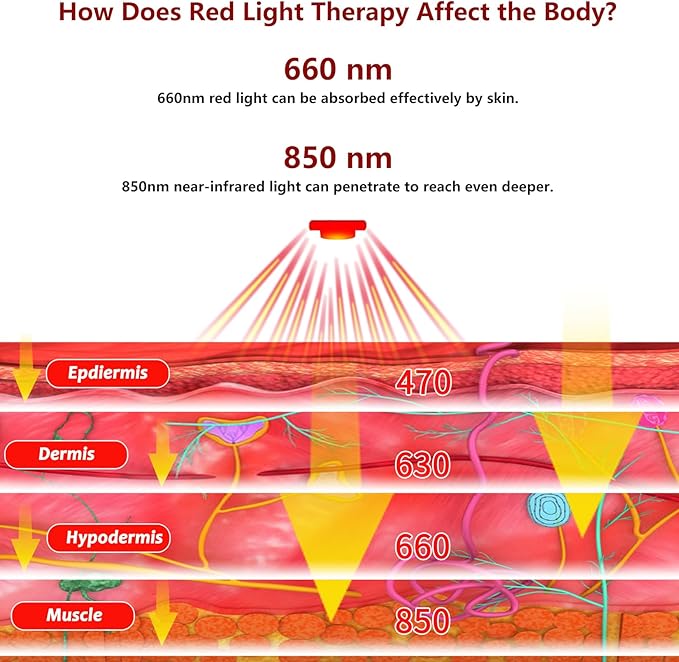 Red Light Therapy Wrap for Ankle &amp Wrist Pain Relief - 660nm Red &amp 850nm Infrared Combo Light Therapy - Rechargeable Wireless for Joint Recovery Muscle Pain