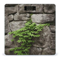 Plant on Stone Wall Scale for Body Weight Anti-Slip Tempered Glass Digital Bathroom Scales Clear LCD Display Weighing Scale Safe Rounded Corners Smart Scales