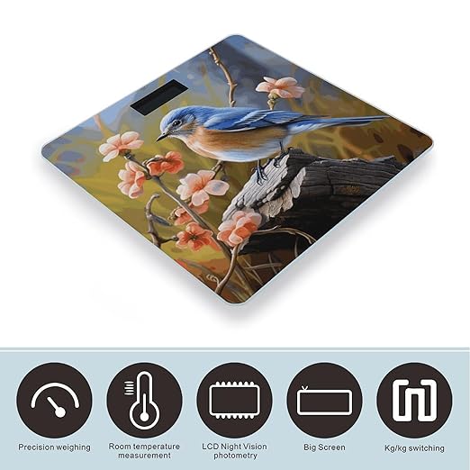 Eastern Bluebird Bathroom Scale Automatic Power On/Off Body Scales LCD Backlight Display Square Digital Scale Rounded Corners Bathroom Scales for Home Bedrooms