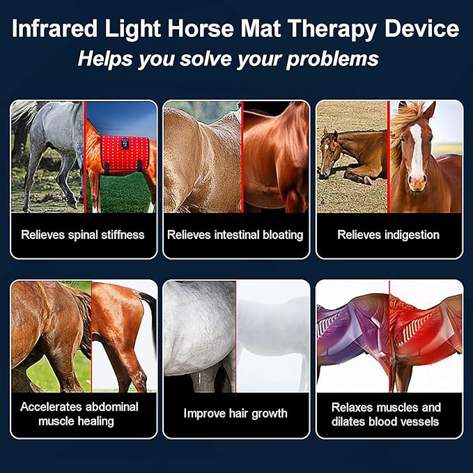 660nm 850nm Red Infrared Therap Belt Portable Deep Red Light Therapy Wearable Horses Infrared Light Therapy Device 6 Levels of Light Intensity Adjustment 50 * 100cm