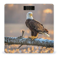Golden Sunset Bald Eagle Bathroom Scale for Body Weight Bathroom Weighing Scales with Back Lit LED Display Sturdy Tempered Glass Body Weight Bathroom Scale 400lb Weighing