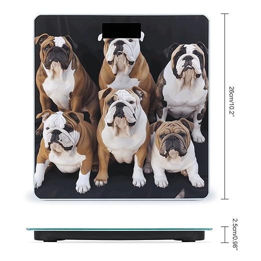 English Bulldogs Scale for Body Weight High Precision Digital Weight Scales with LCD Display Anti-Slip Sturdy Slim Tempered Glass Bathroom Scale for Home Use