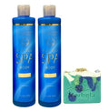 Bath &amp Body Works True Blue Spa 2 Pack Exfoliating Body Wash Bundle with an Aloe Vera Bar Soap - Full Size