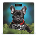 French Bulldog Puppy with Camera Bathroom Scale Large LCD Backlight Display Digital Scale Rounded Corners Body Scales Automatic Power On/Off Bathroom Scales for Home Bedrooms