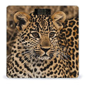 Cute Leopard Scale for Body Weight Anti-Slip Sturdy Tempered Glass Weighing Machine Highly Digital Accurate Bright LCD Bathroom Scale for Household Gift