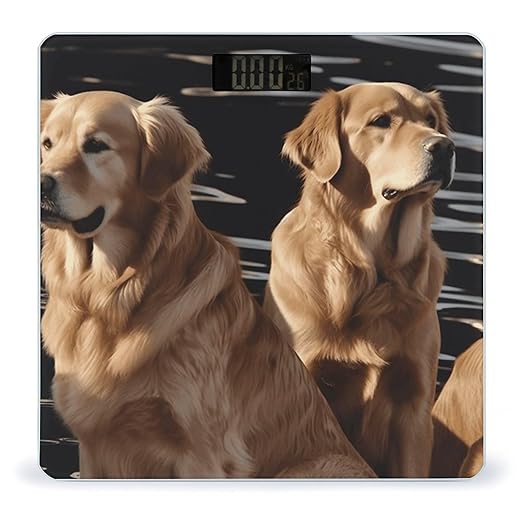 Golden Retrievers Bathroom Scale Large LCD Backlight Display Digital Scale Rounded Corners Body Scales Automatic Power On/Off Bathroom Scales for Home Bedrooms