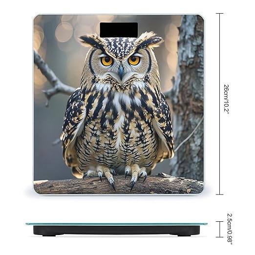 Owl Scale for Body Weight Highly Accurate Digital Bathroom Body Scale Digital Bathroom Scales for People Anti-Slip Large LCD Display Smart Scales